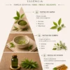 Vela Chá Verde 140g - Imagem 2